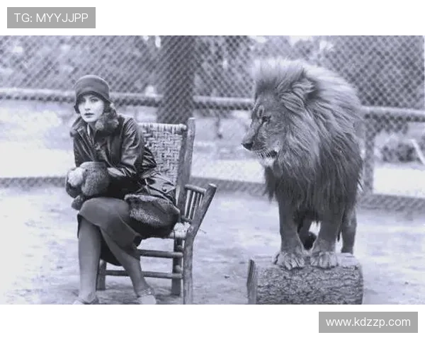 狮子图案足球明星的辉煌历程与传奇故事探索